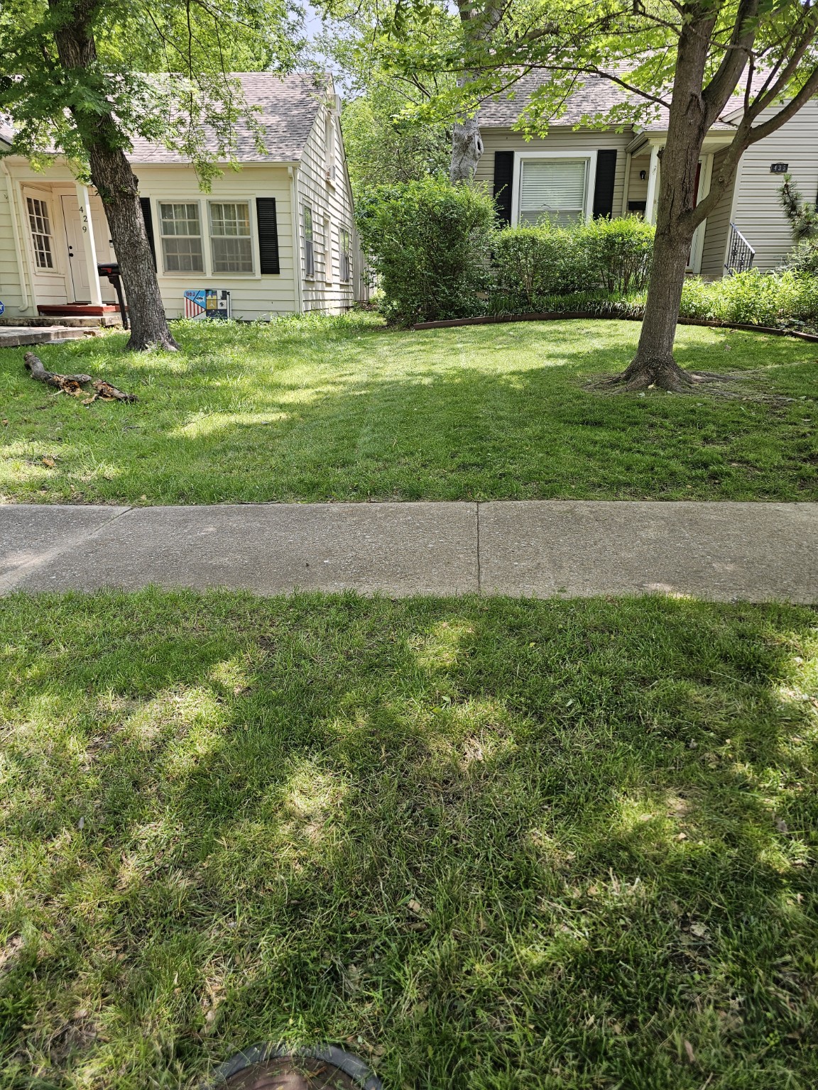 A freshly mowed front lawn with mature shade trees